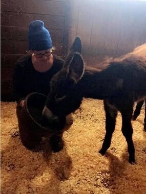 Meet your Posher, Lori